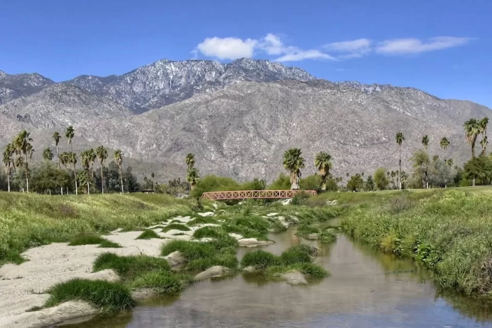 View of small pedestrian bridge in Prescott Preserve Palm Springs, California with palm tree oasis and mountains in background.